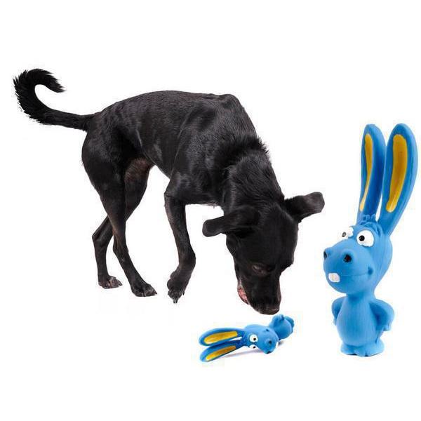 Παιχνίδι σκύλου, λαστιχένιο οδοντωτό κουνέλι 16,5 cm